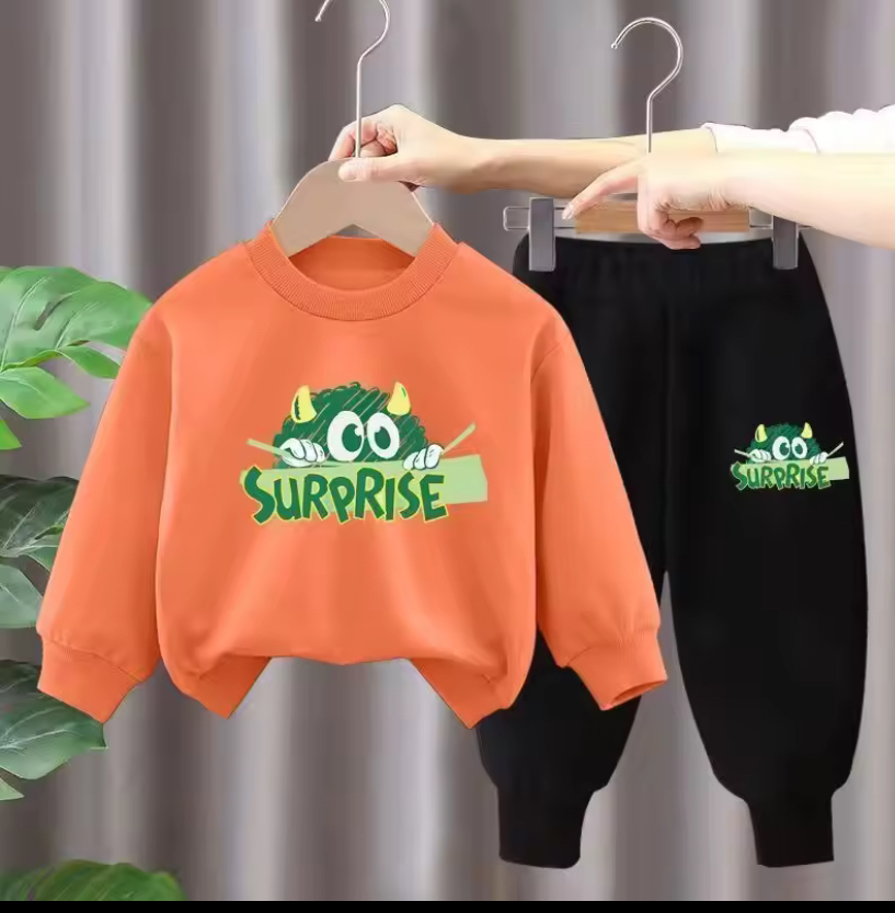 Kids Sweatshirt and Trouser Set