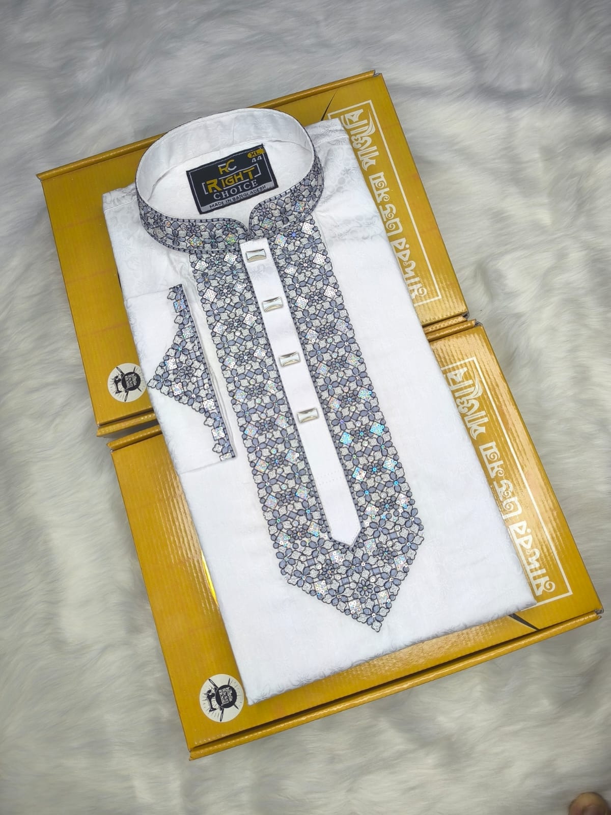 Sequence Embroidery Panjabi