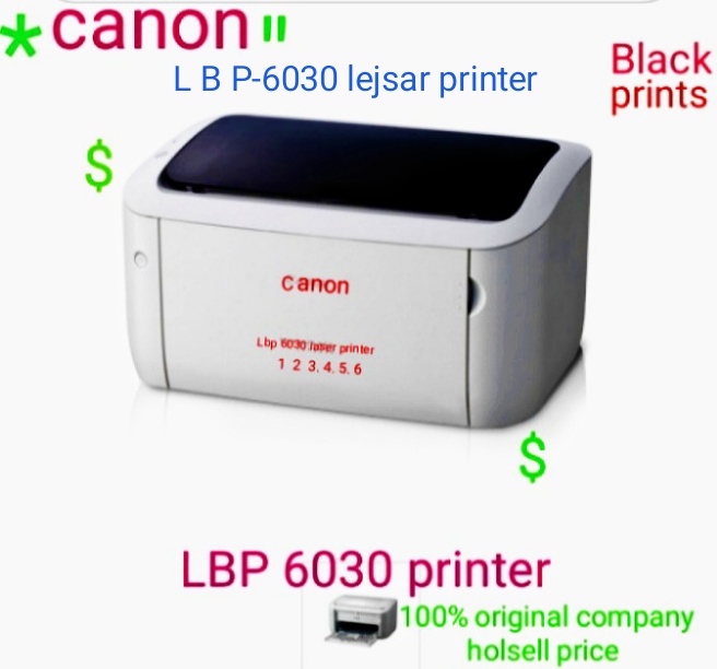 Lbp 6030 printer