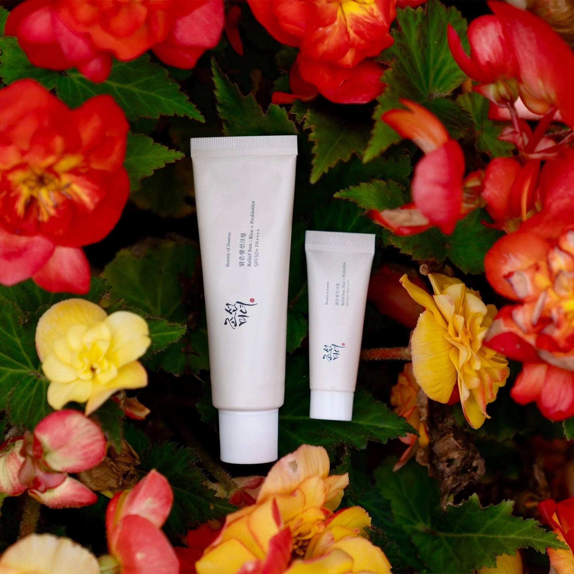Beauty of Joseon Rice + Probiotics Sunscreen Mini 10ml